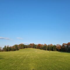 養育里親終了。
